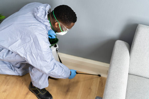 Trusted Cambridge City, IN Pest Control Experts